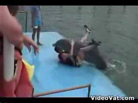 dolphin humping girl|Hapless tourist gets humped by frisky dolphin